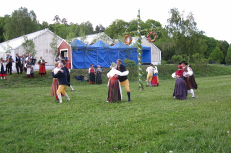 Uppvisningar & event