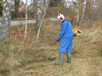 12. Han gör en park kring Ulvsbygården