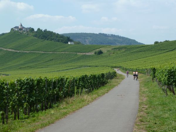 Cyklister mellan 2 vinfält