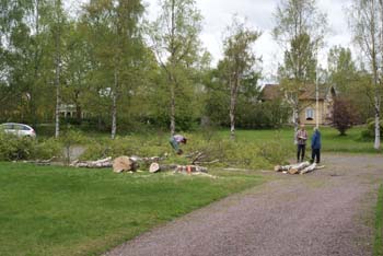 06. Första björken är fälld