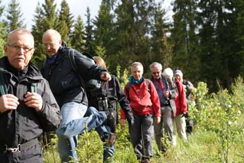 23. Ut i skogen skall vi gå